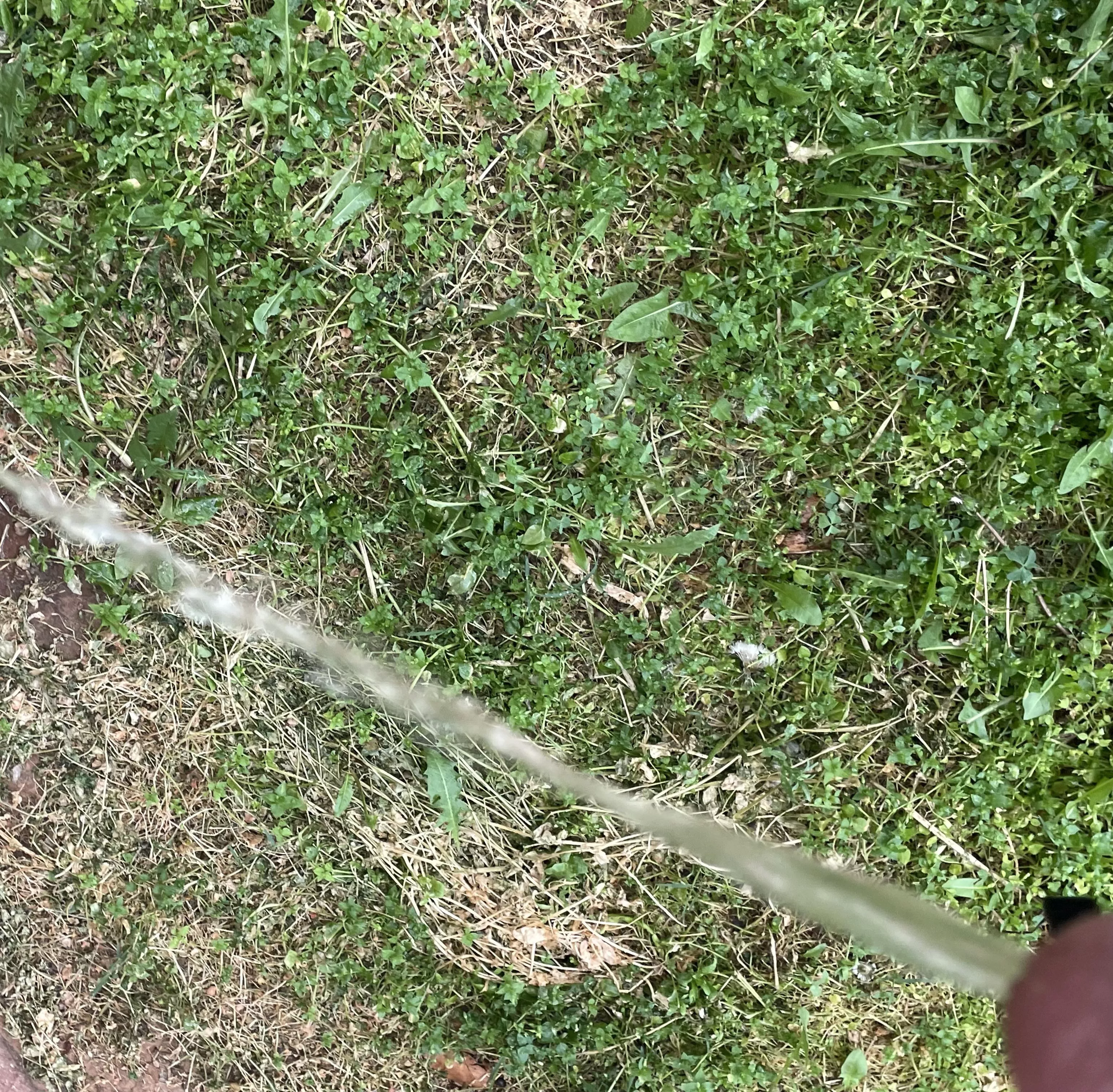 A healthy stream…. posted by Expensive_Ad_4782