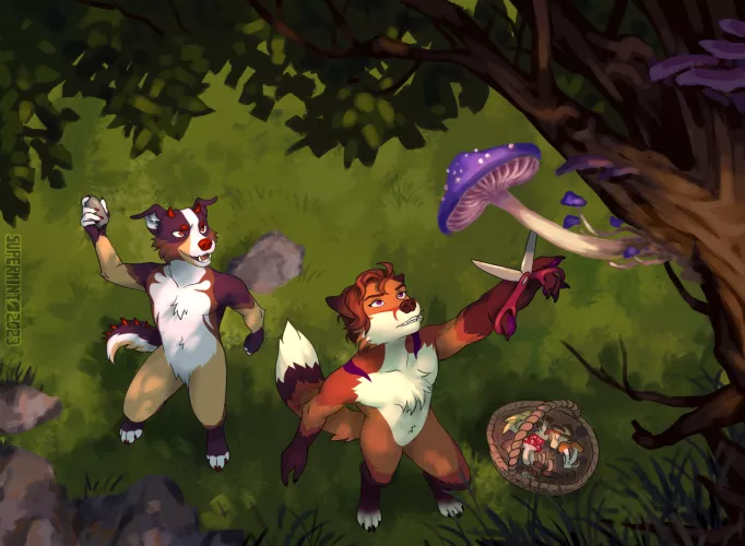 [Commission] Ludo & Acci by Kerlasia