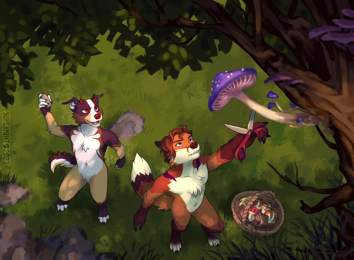 [Commission] Ludo & Acci posted by Kerlasia