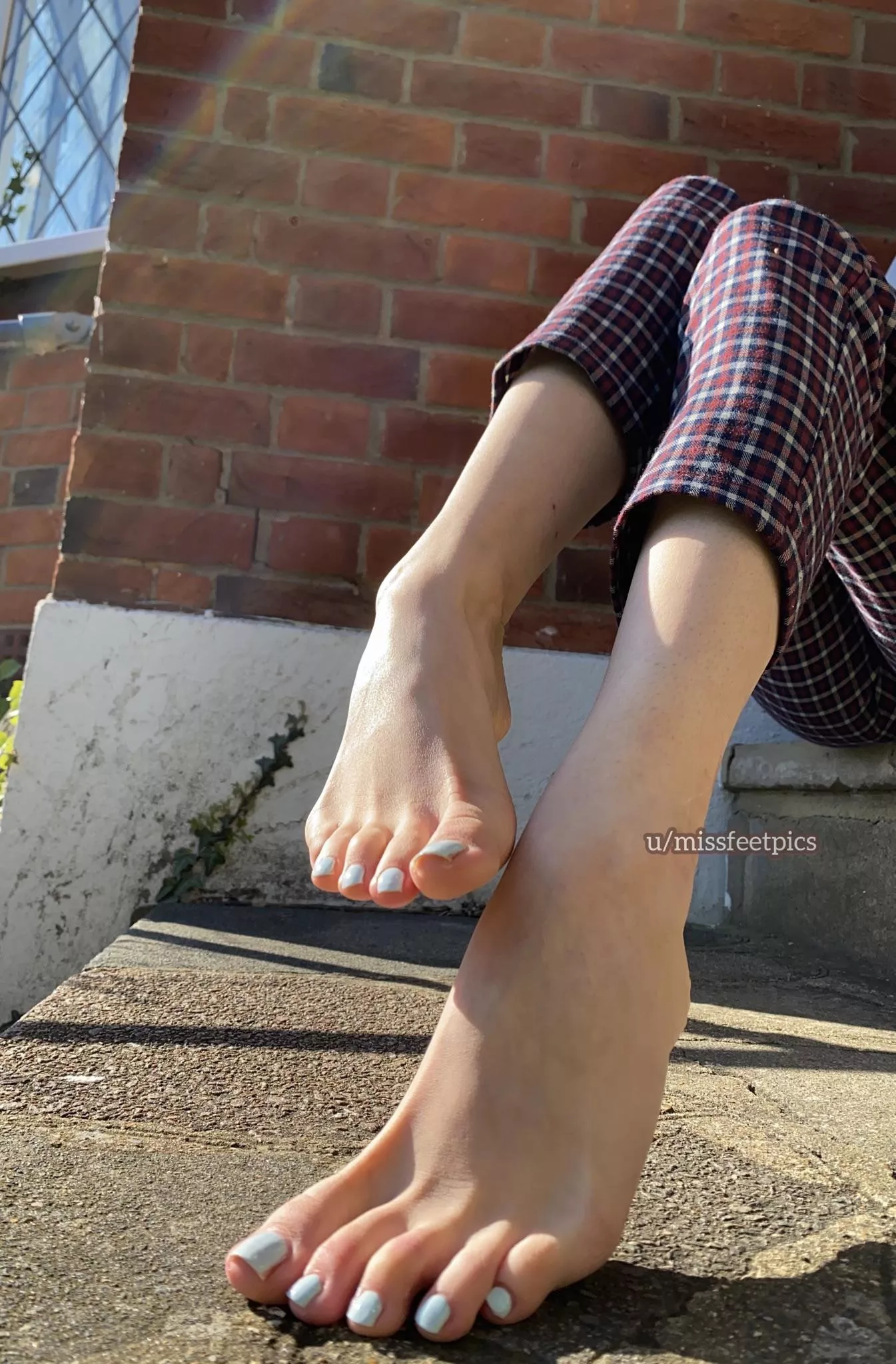 could you resist these in public? posted by missfeetpics