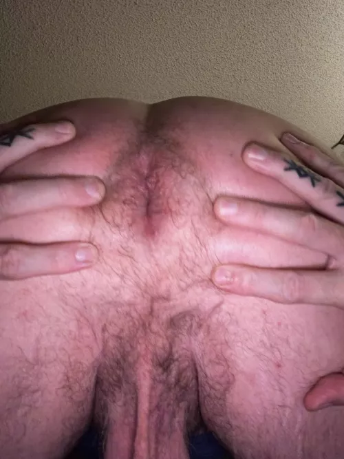 Everything is hairy by gonoles13