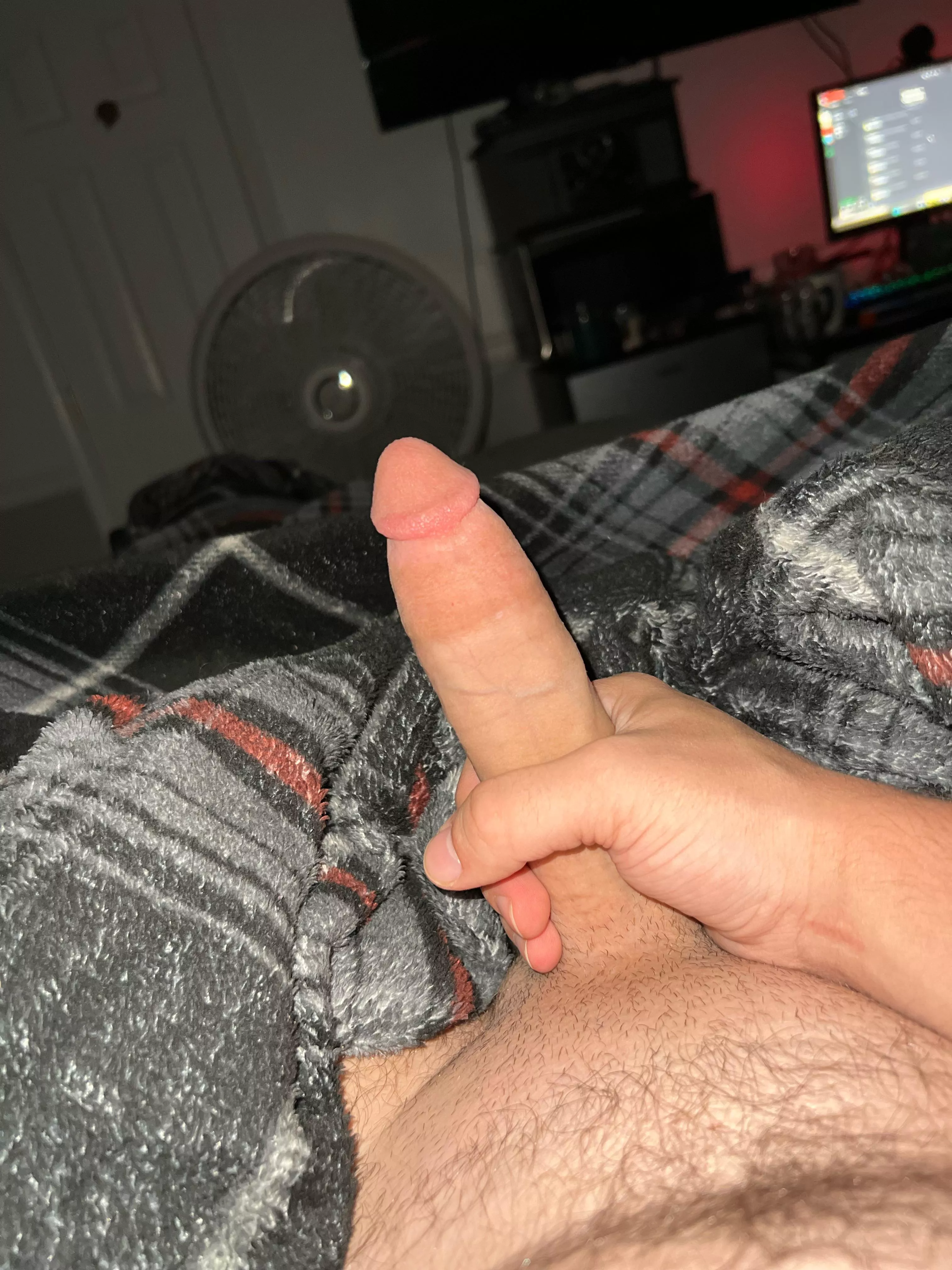 Honest Ratings Only [19] posted by Tall_Name_6802