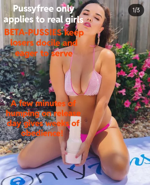 indispensable tool by MrKillerCaption