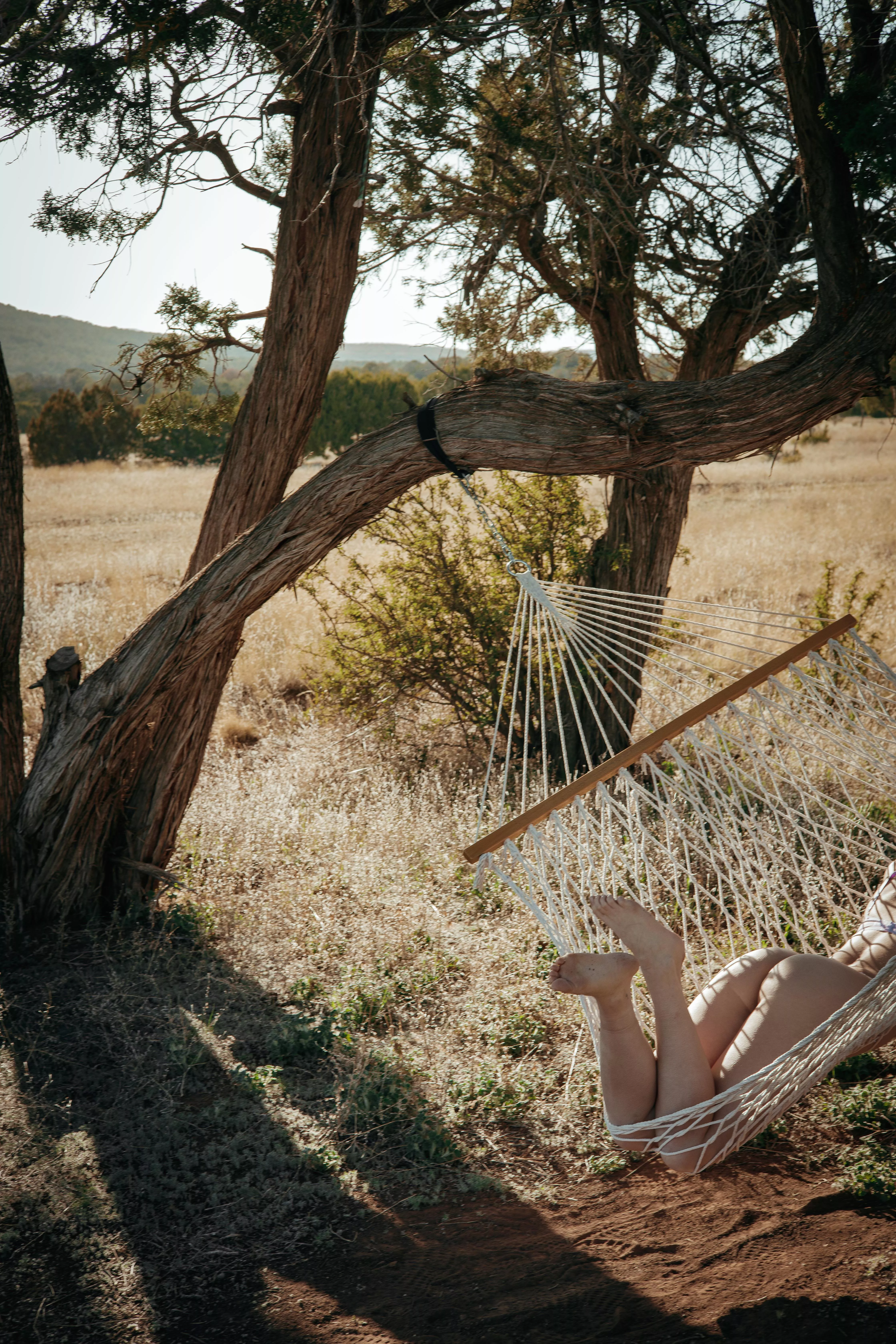 Just hangin’ posted by Lobark_