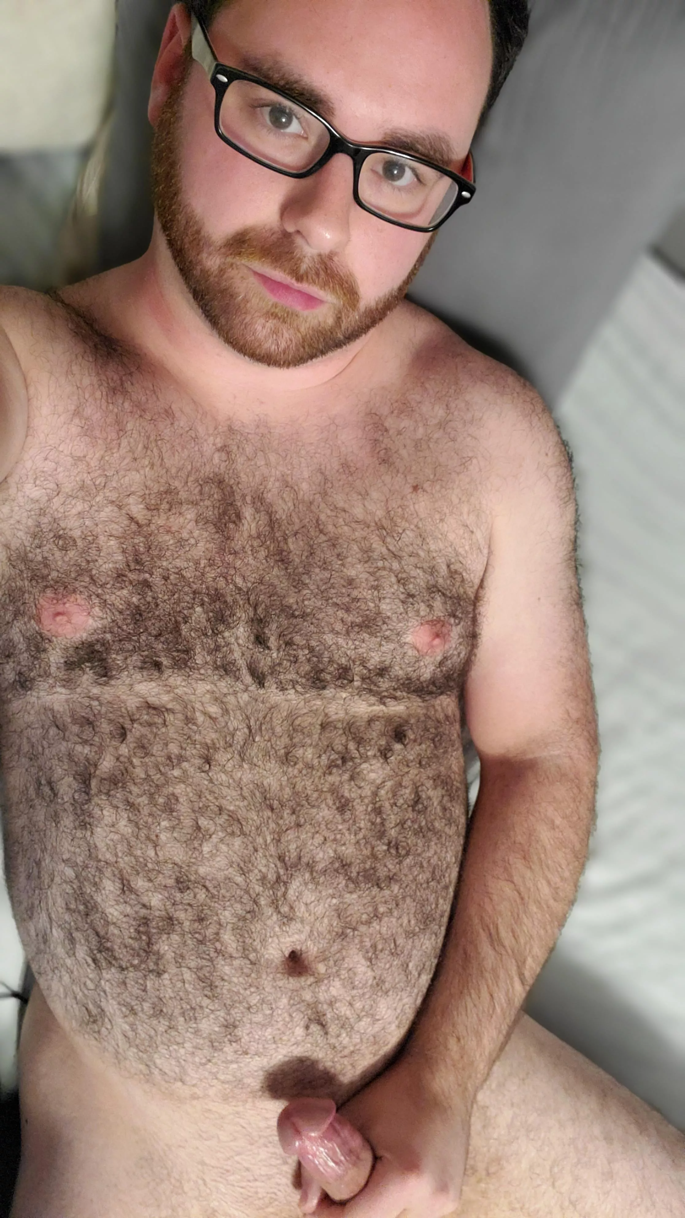 Lazy day posted by AnonymousCoyote21