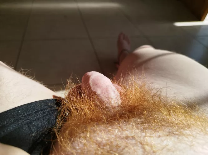 Love the sunlight by Rojonlyfans