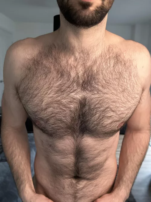 Morning fur. by Viprogue