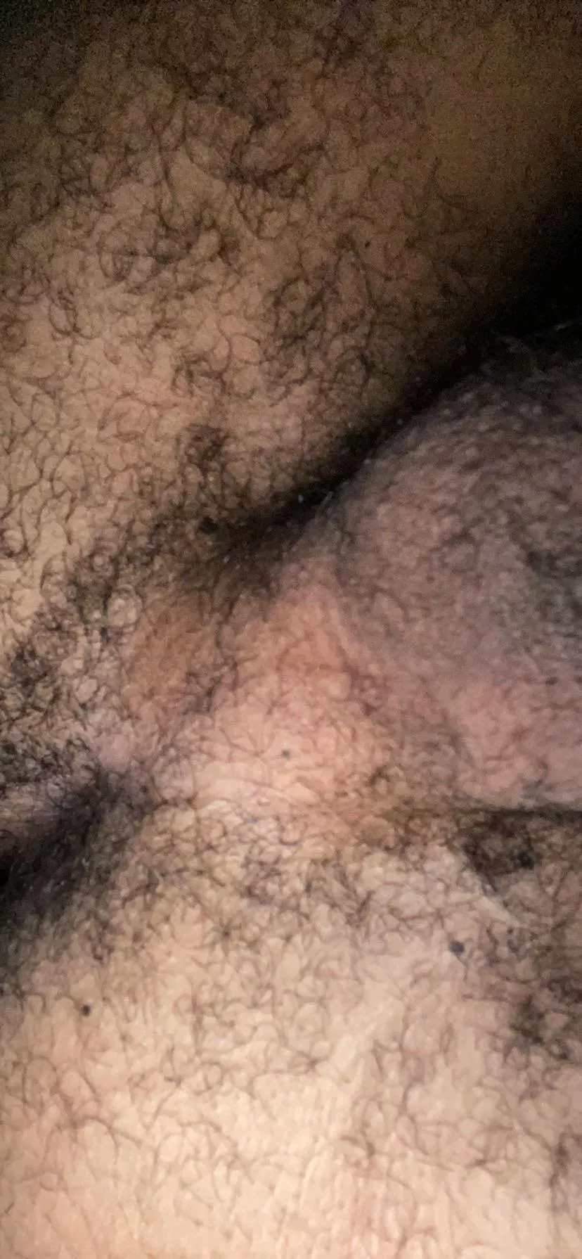 need to be licked posted by pookie-png