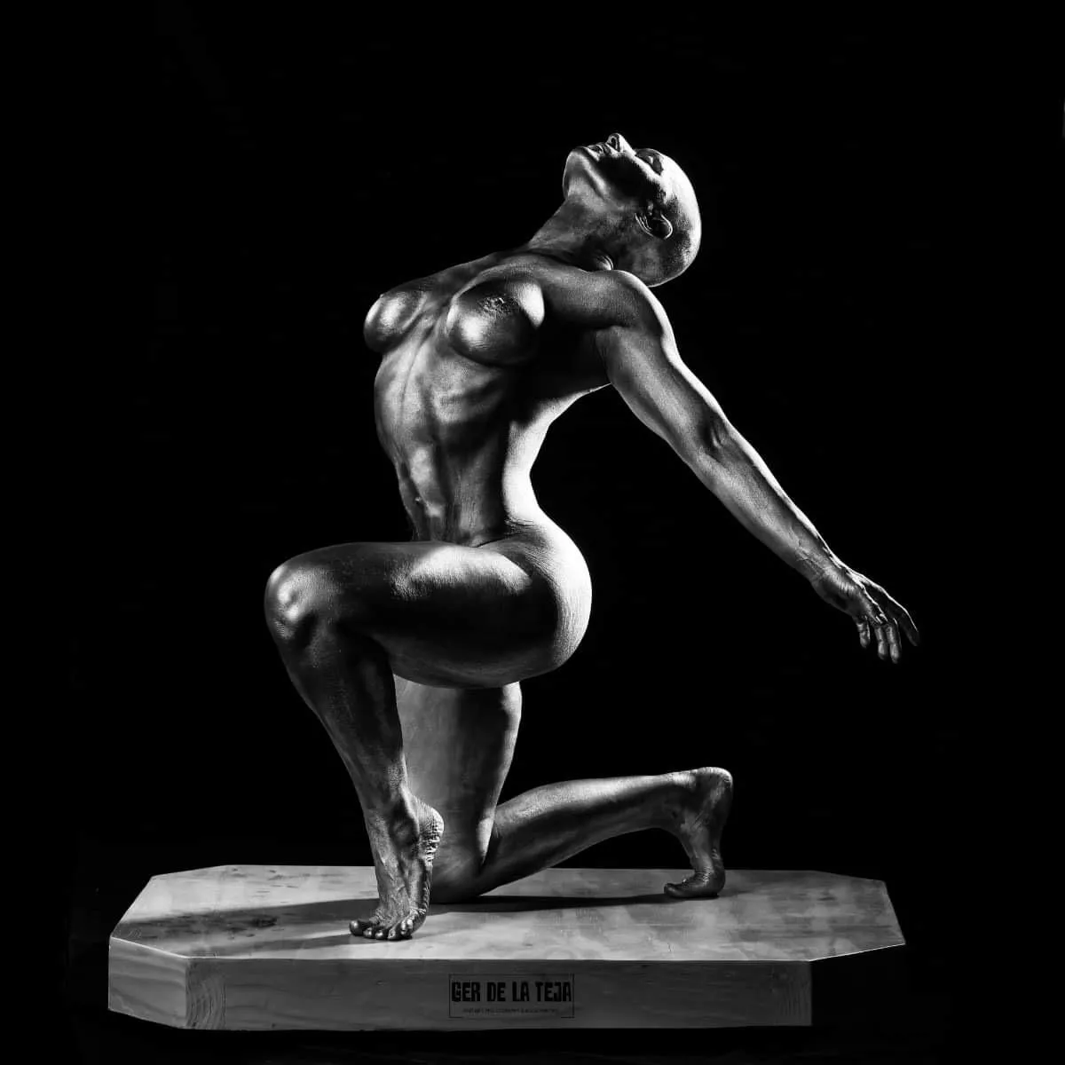 Silvergirl no. 2, by Me posted by Ger_DeLaTeja_Artist