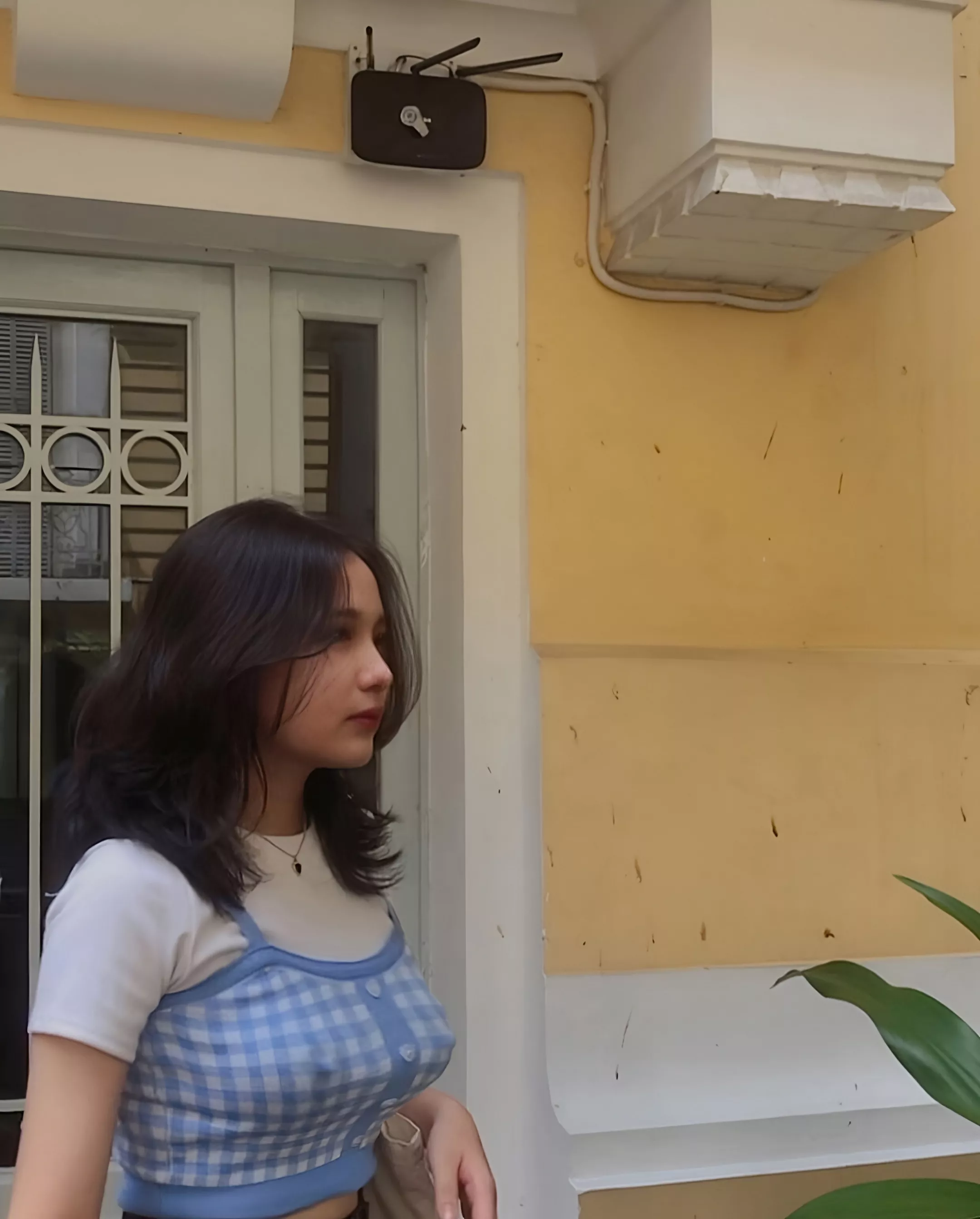 These are attack boobies posted by wesbleu21