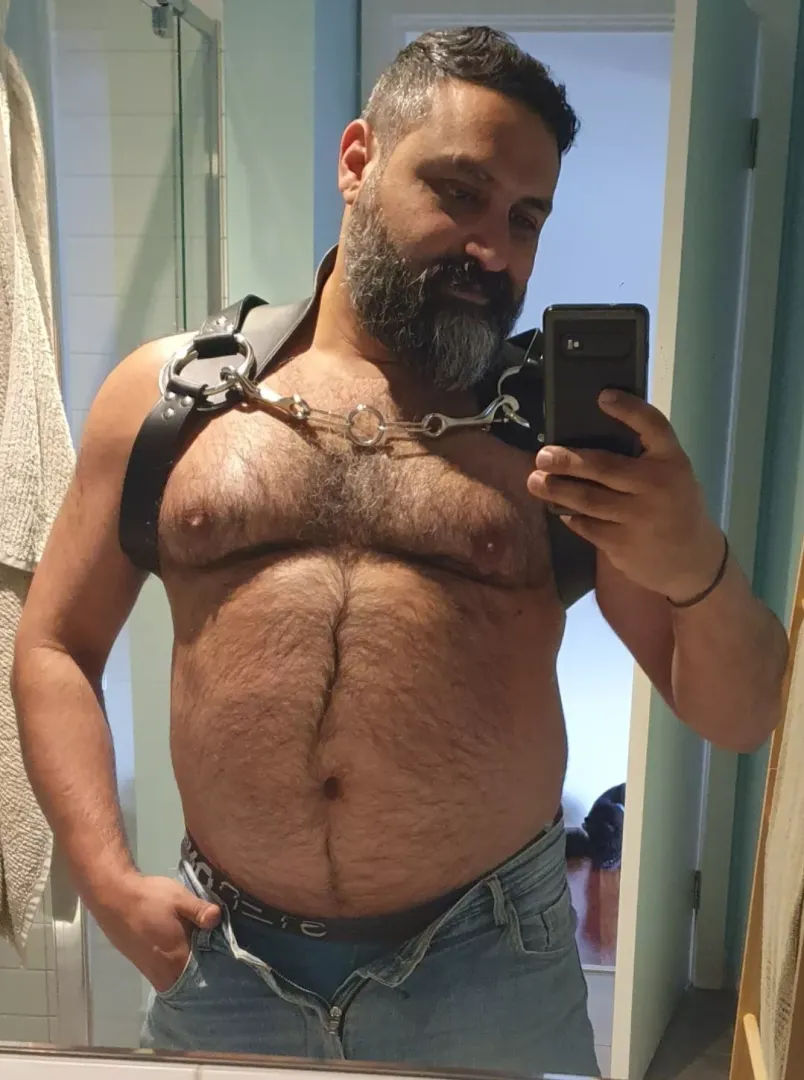 This was my first time wearing a harness! You like? 🐻😜 by EinsteinWolf