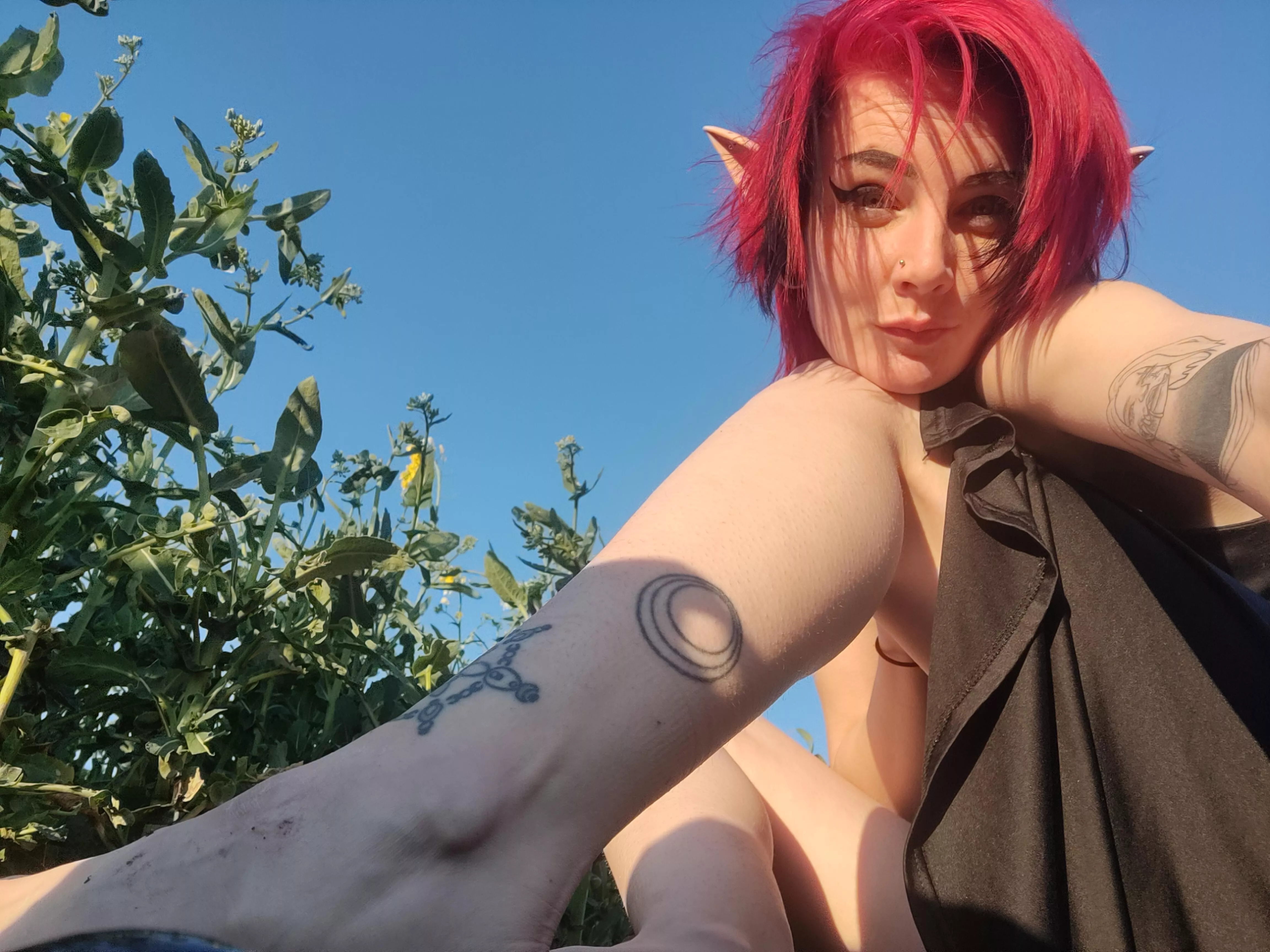 Time to enjoy the sun in the fields ☀️ posted by Accalia9119