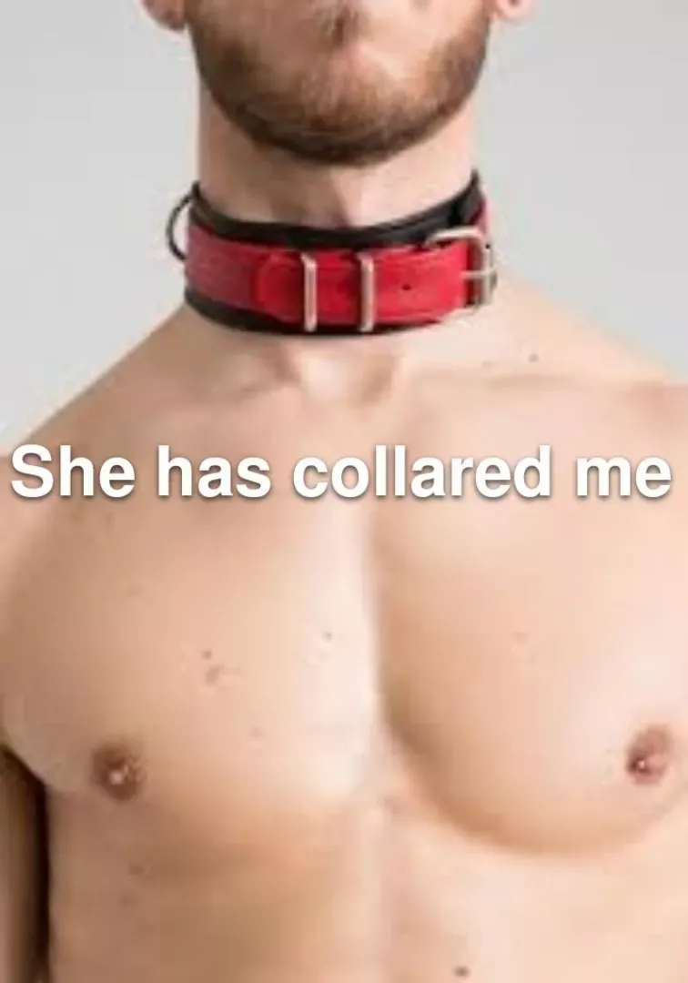 Today marks the day my fellow subs posted by Electrical-Coast4687