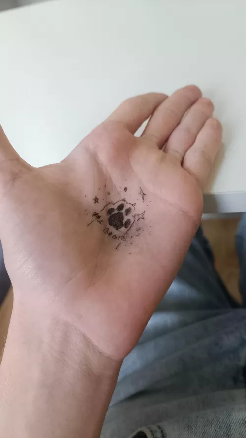 Was bored in class by MimsBlacker