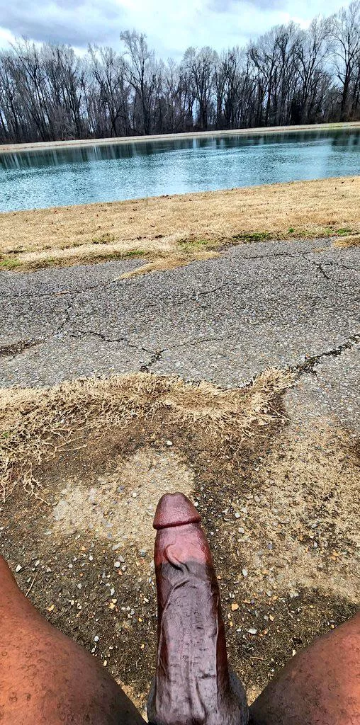 Went out by the lake today 🌅 posted by Geologist_Wrong