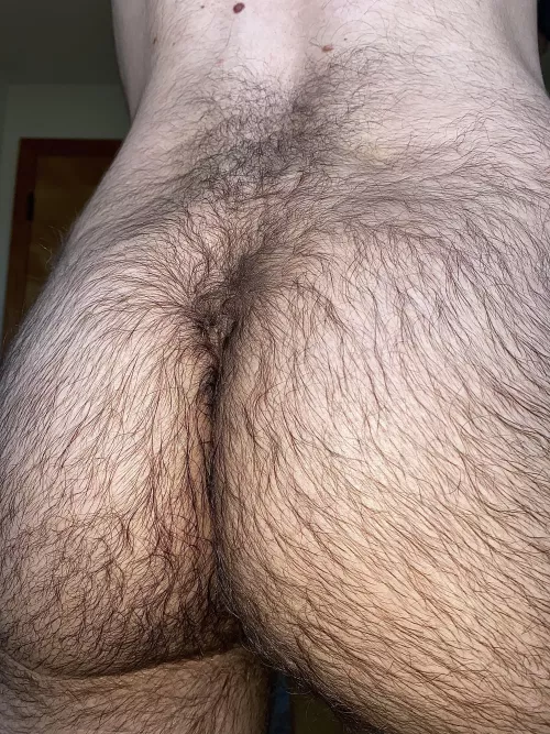 Who wants to help me out? by Efficient-Basket-534