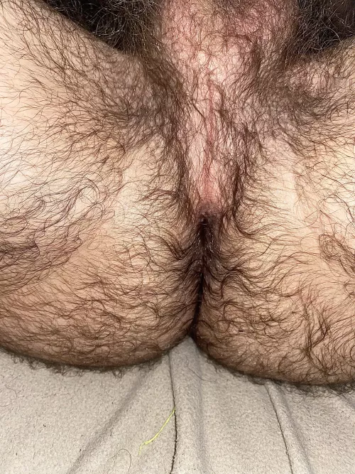 Can’t seem to find my hole. Anyone want to help me look for it? 👃🏻👅 by Efficient-Basket-534