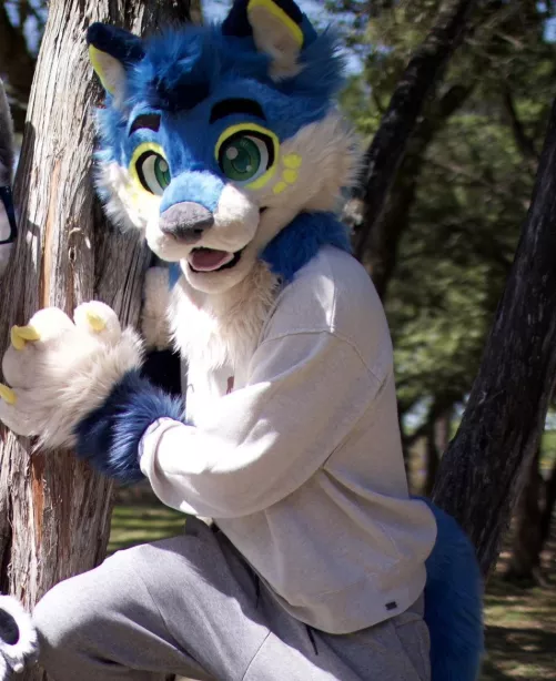 First time public suiting! Had so much fun! by GlitteringStation800