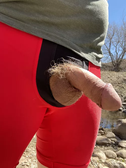 Ginger tuft in the wild by Bigheadtool