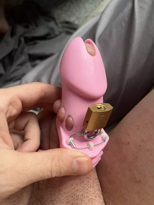 Look how cute it is🥹 by Notahornyalt-account