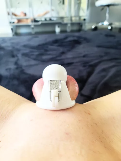 My Penis is Never Allowed Out by One-Profession-9141