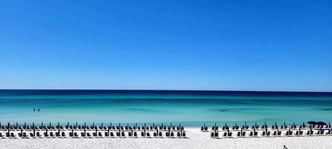 PCB FL by Fun_Acanthisitta_501