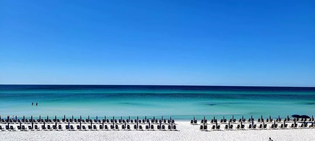 PCB FL posted by Fun_Acanthisitta_501