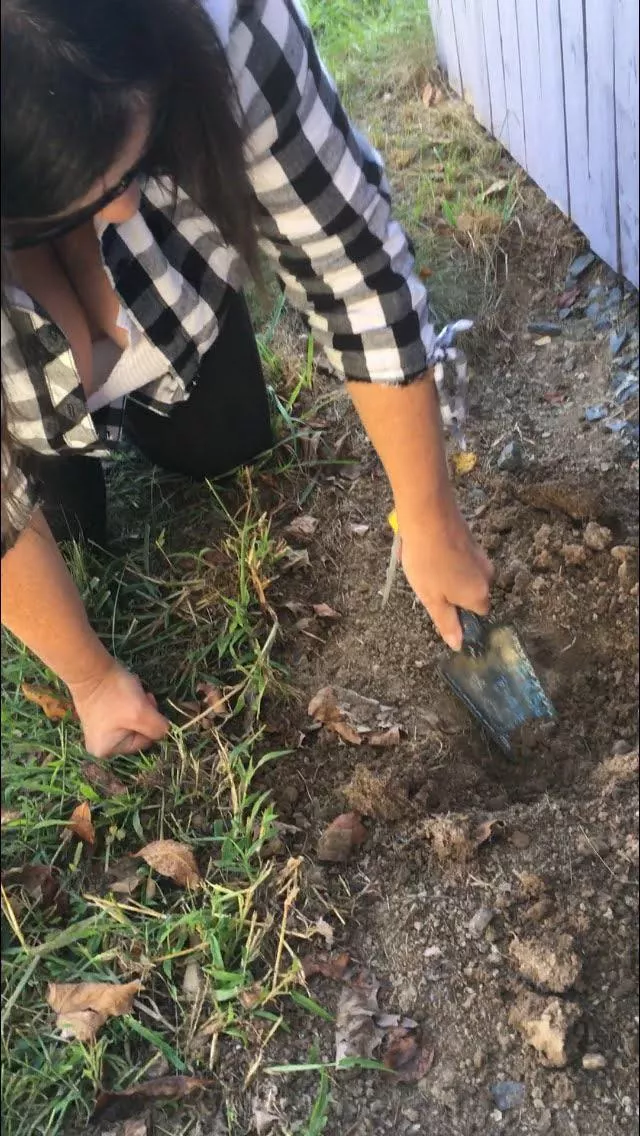 the weathers beautiful posted by tommyhcc22