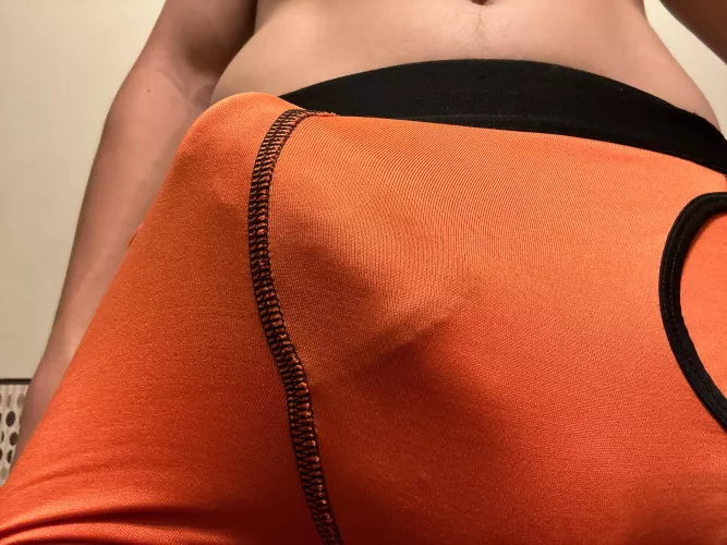 They don’t hide much by Revolutionary_Rip660