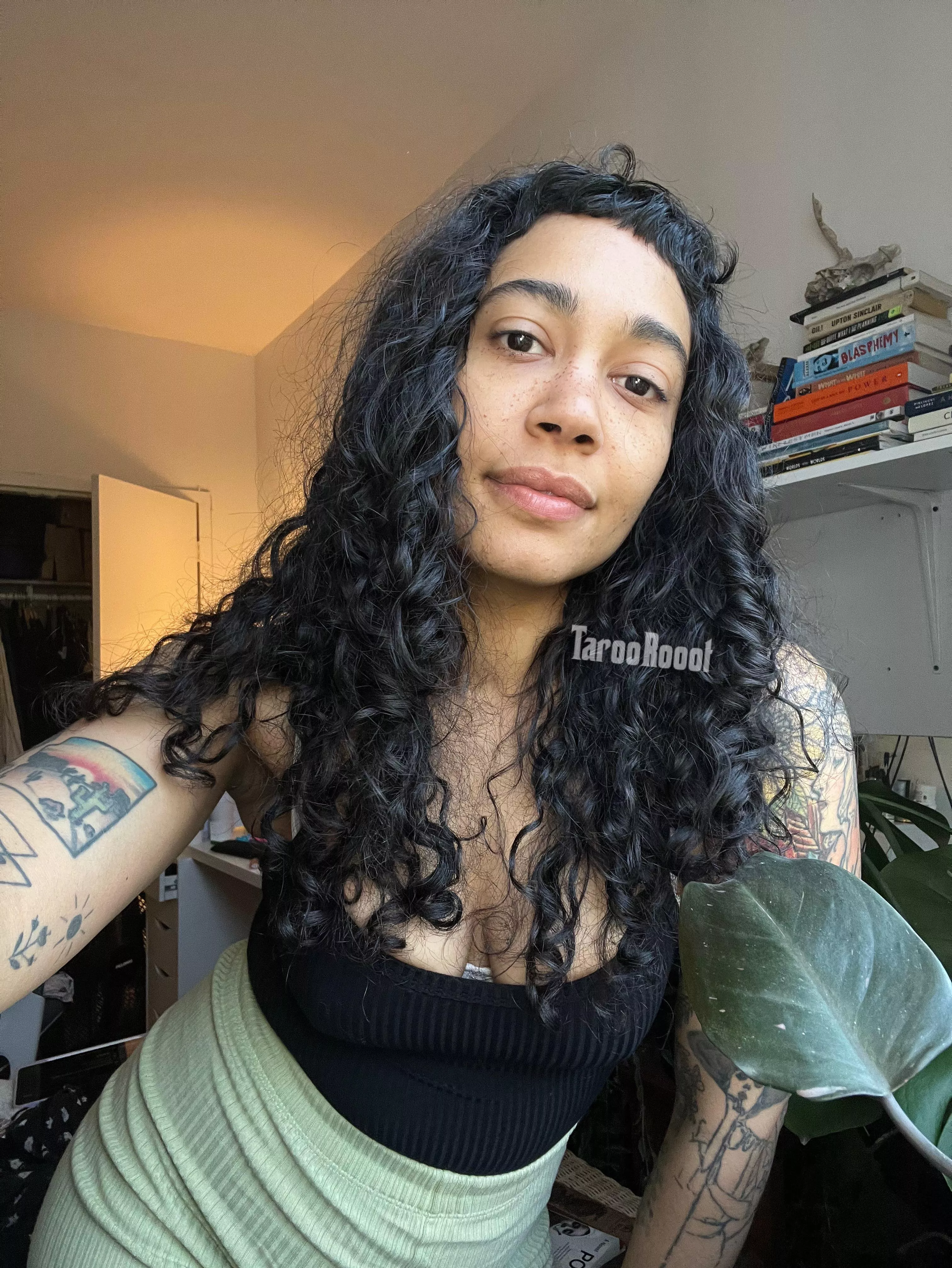 What are we doing today? posted by TarooRooot