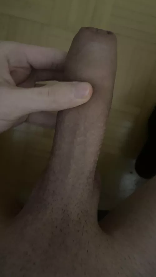 who wanna play with him? by UnusualLengthiness90