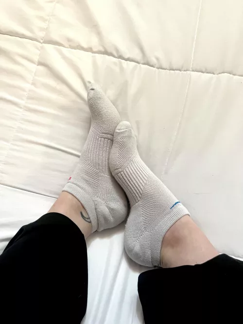 Who wants these? You know you do… by BugEnvironmental134