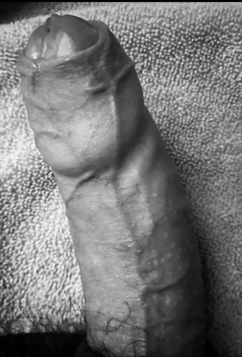 Would you ride this cock posted by FatVeinyCock69