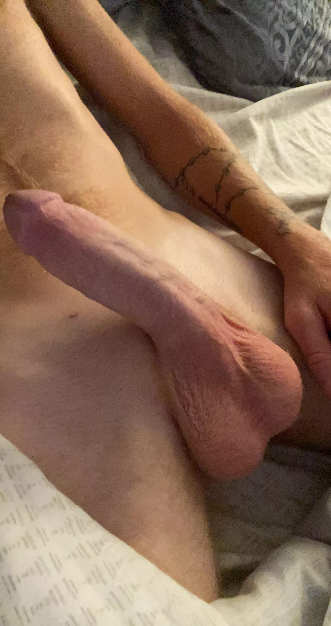 Would you taste it posted by Human-Abrocoma5986