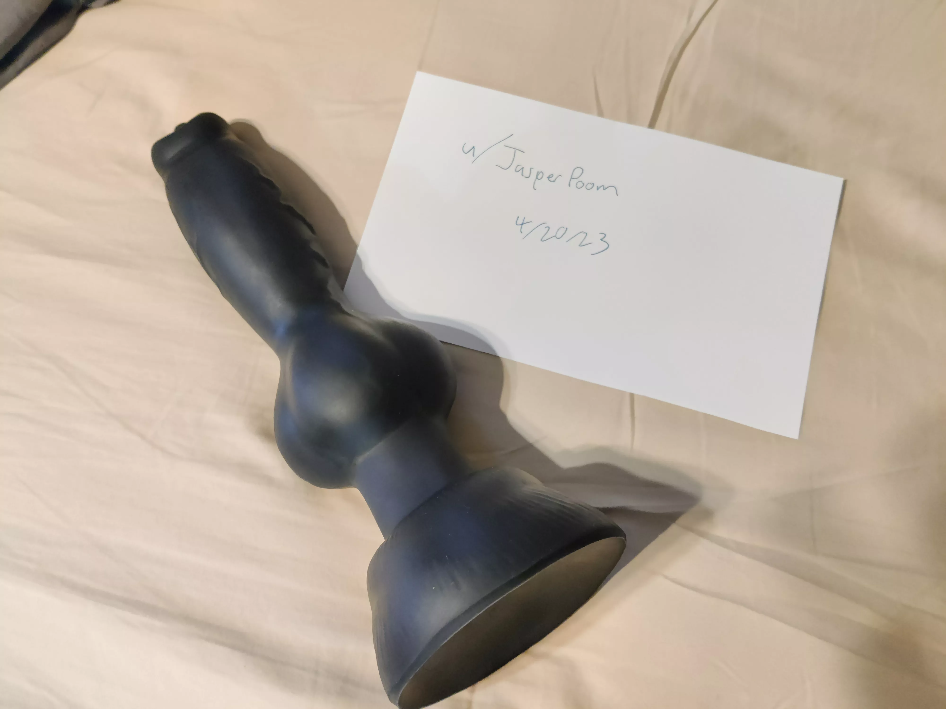 WTS L/M Rex w/ suction cup posted by JasperPoom