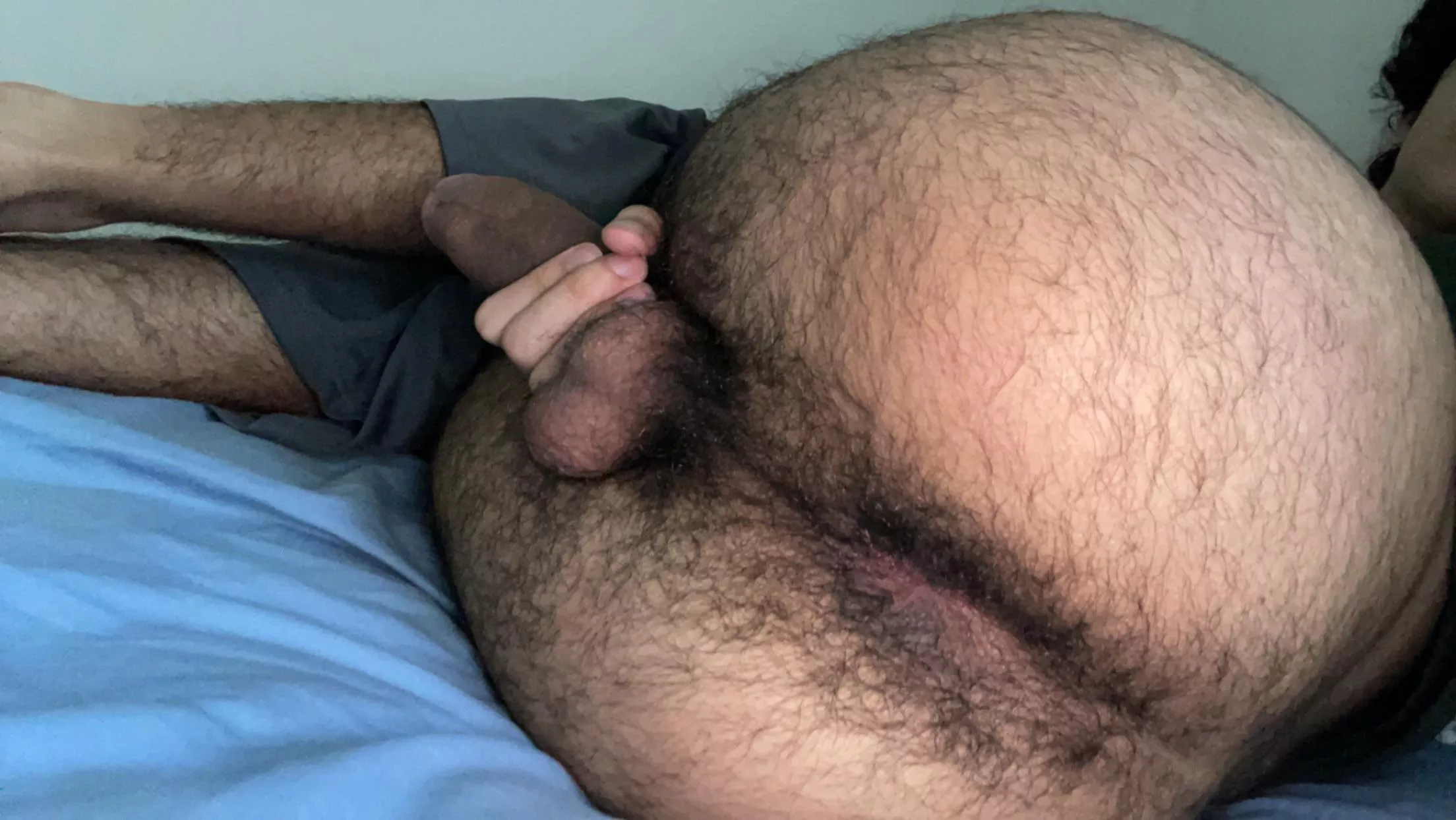 18 can’t wait to get even hairier!!! Dms open :) posted by pitsniffer3674