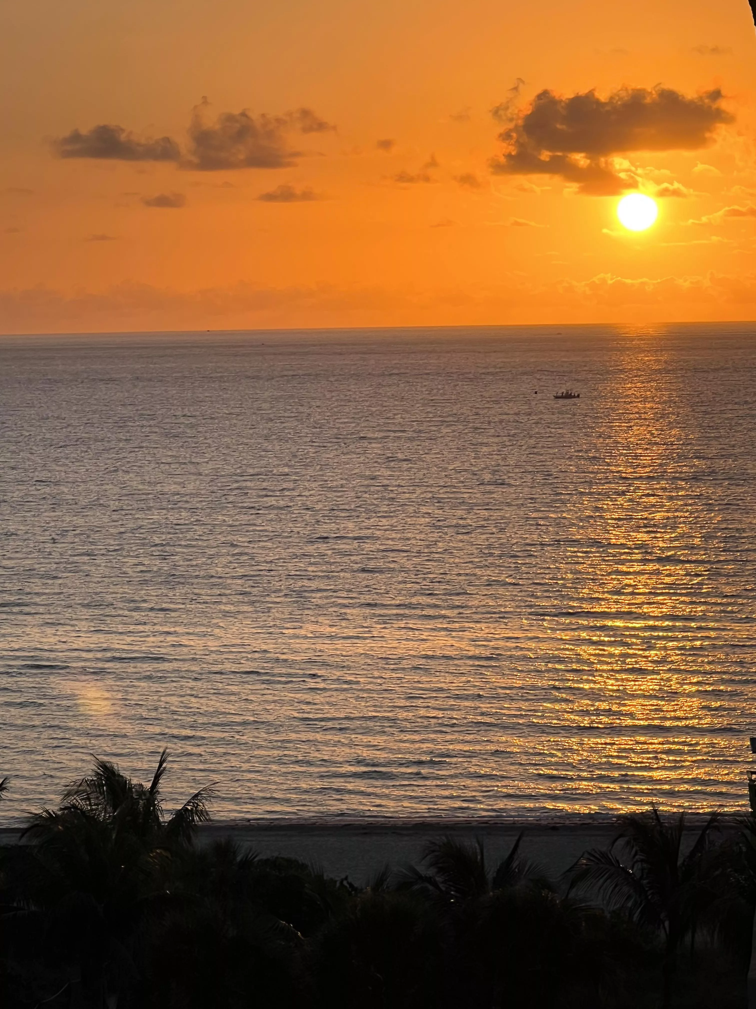 Another beautiful sunshine posted by Lunayla