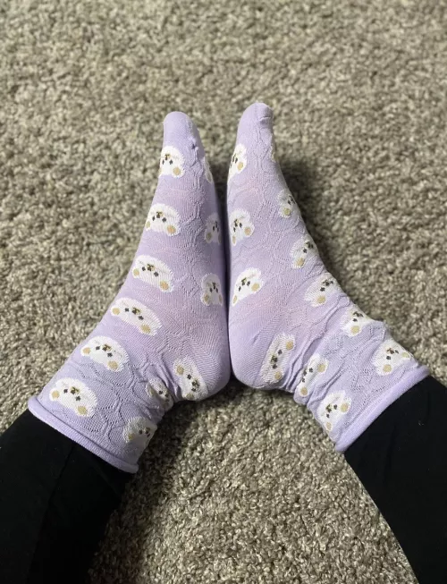 Bear-y cute socks [f] by Top_Peace_5439