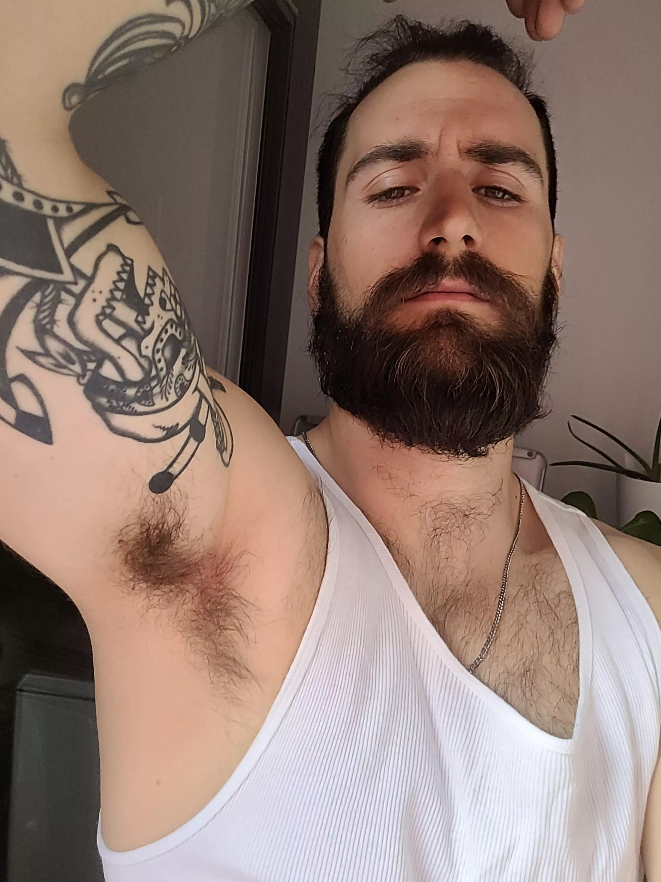 Come here bro i'll take care of you posted by HotBerserkr