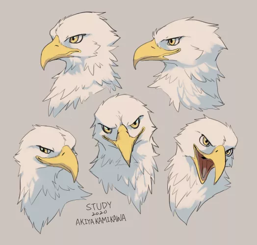 Egle study, Old work in 2020 (By me @AkiyakamikawaX on twitter) by AkiyaKamikawa