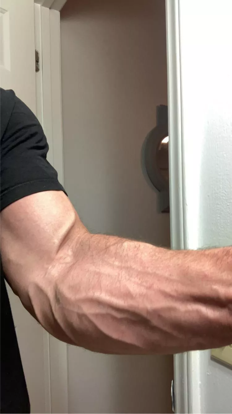 Forearm or fivearm? posted by usersnameschecksouts