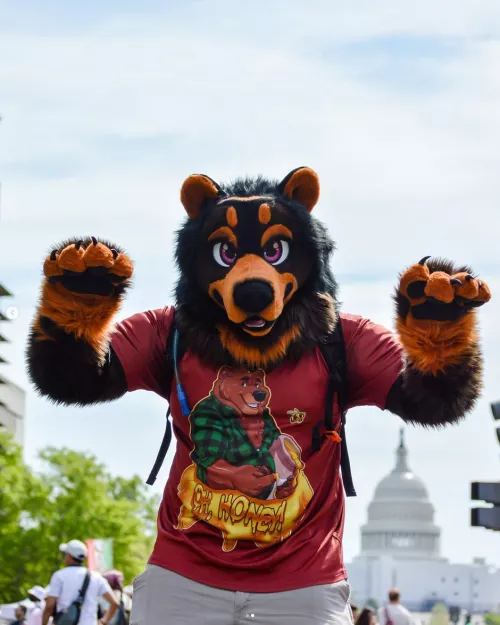Fursuit at Cherry Blossom Festival rawr by Lvovich