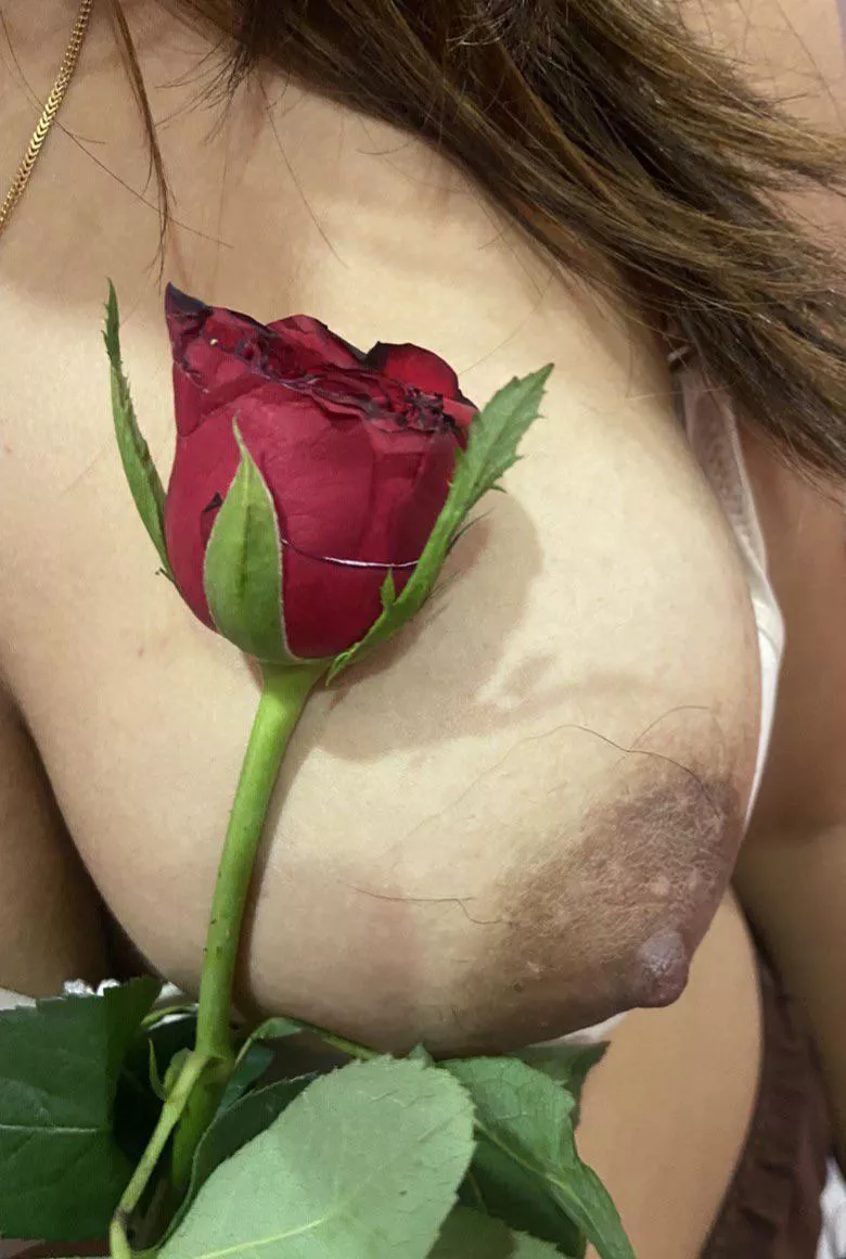 Got her a flower today so that i can take her pussy later [F] posted by Lone-and-horny