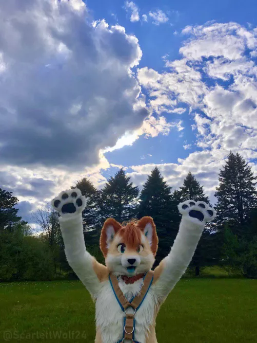 Happy Fursuit Friday! ☀️🐾 by scarlettwolf24