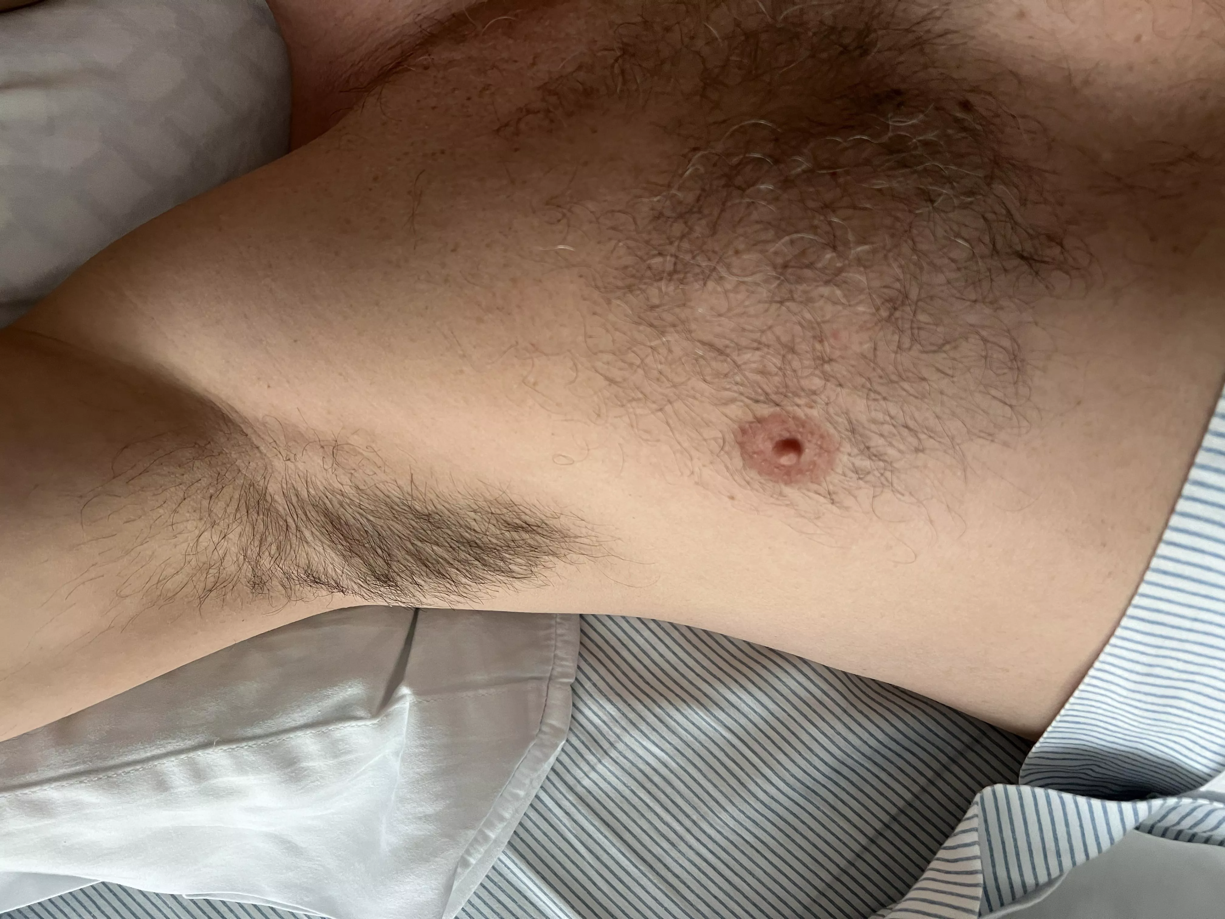 In the morning light posted by Chavez2023