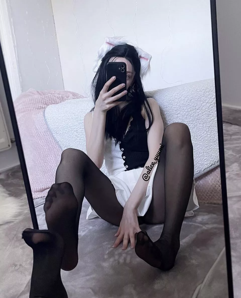 Kitty in nylons posted by alice_yuumi