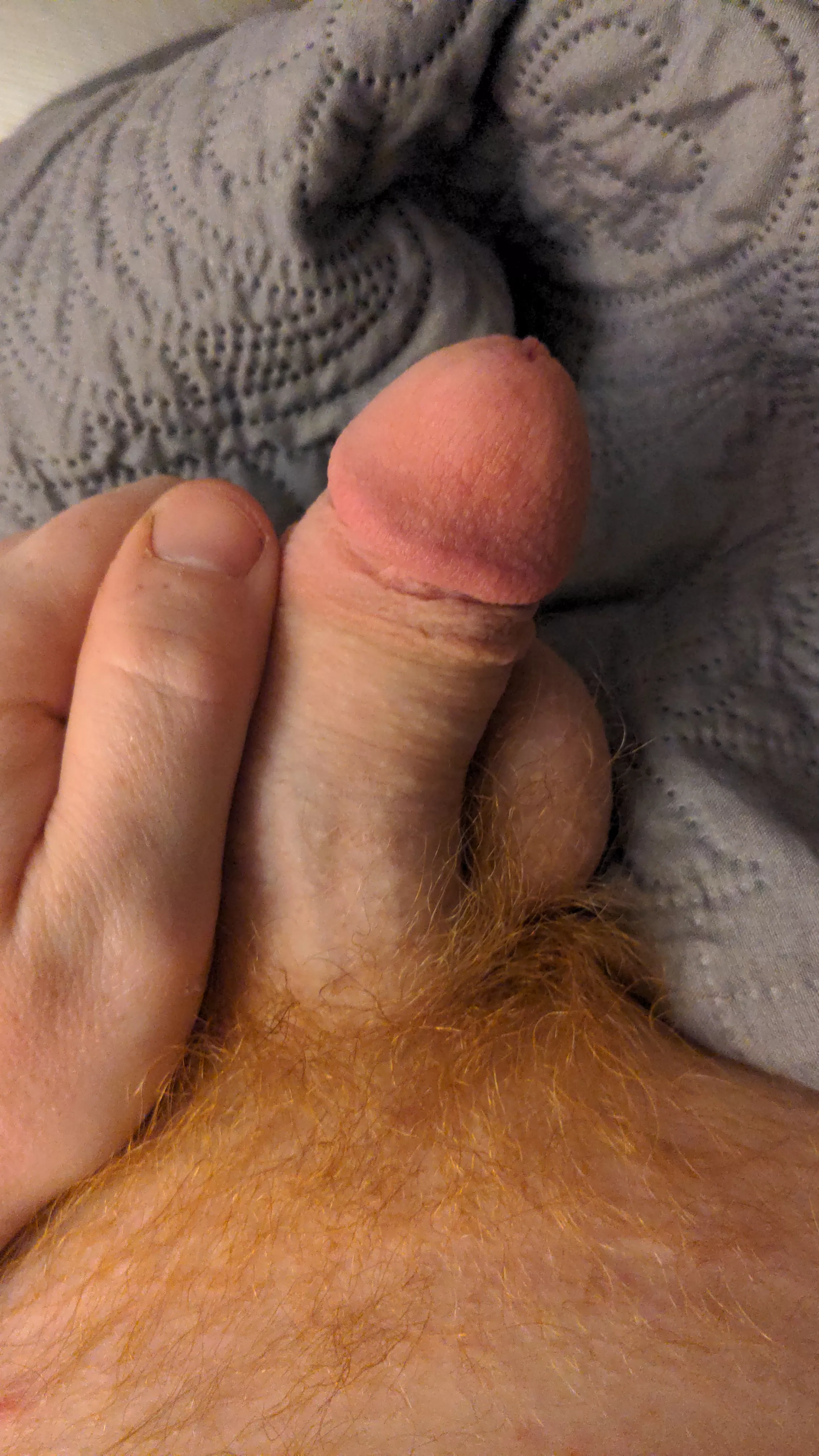 Little mushroom posted by shyguy696969420