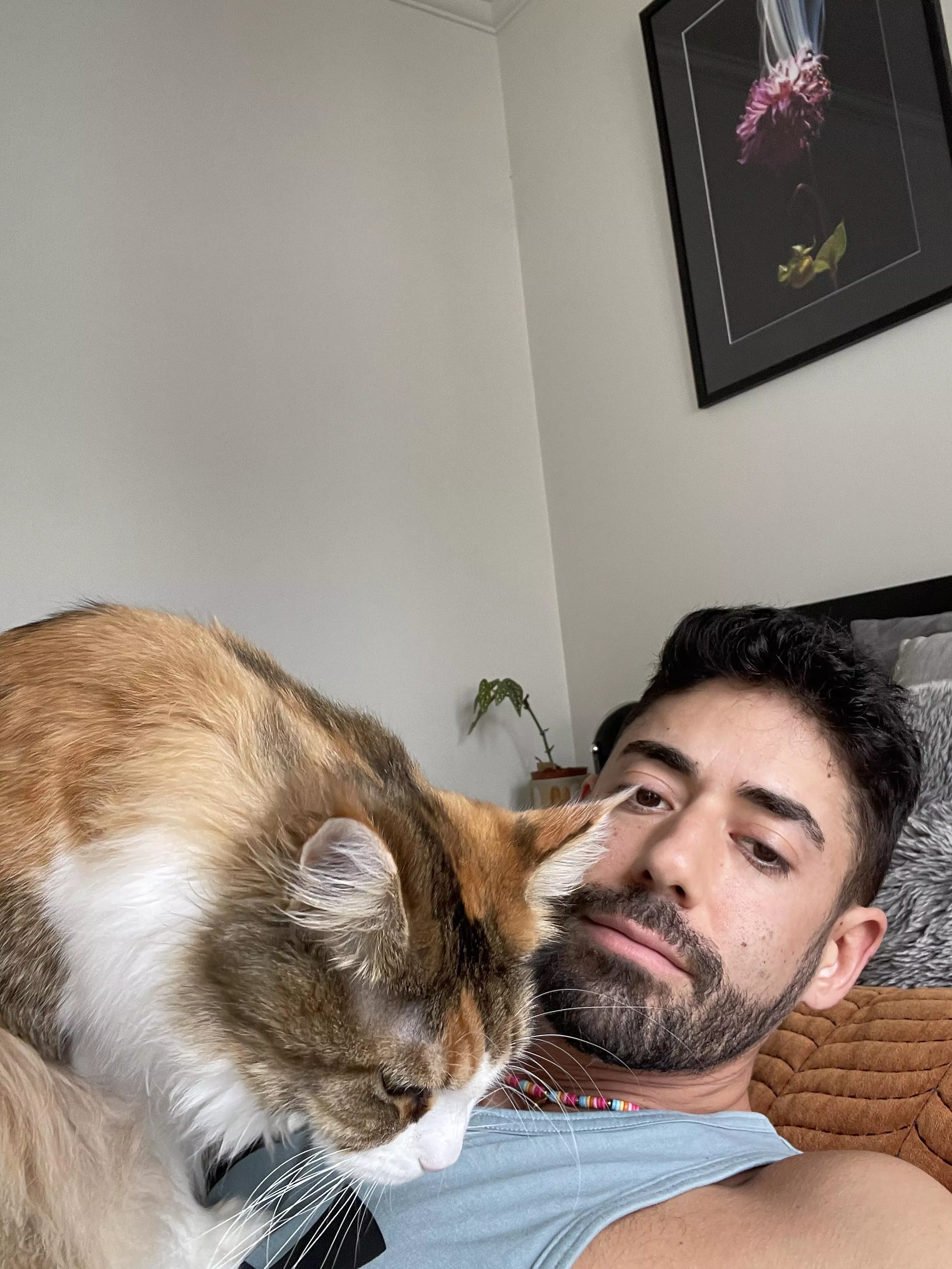 Love my kitty so much 🥹😍 posted by thegayhippie420