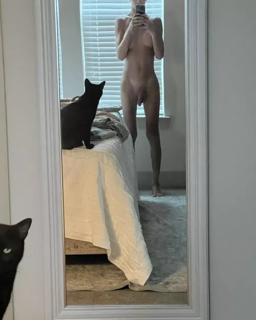 My cat is judging me so hard by pinkcae