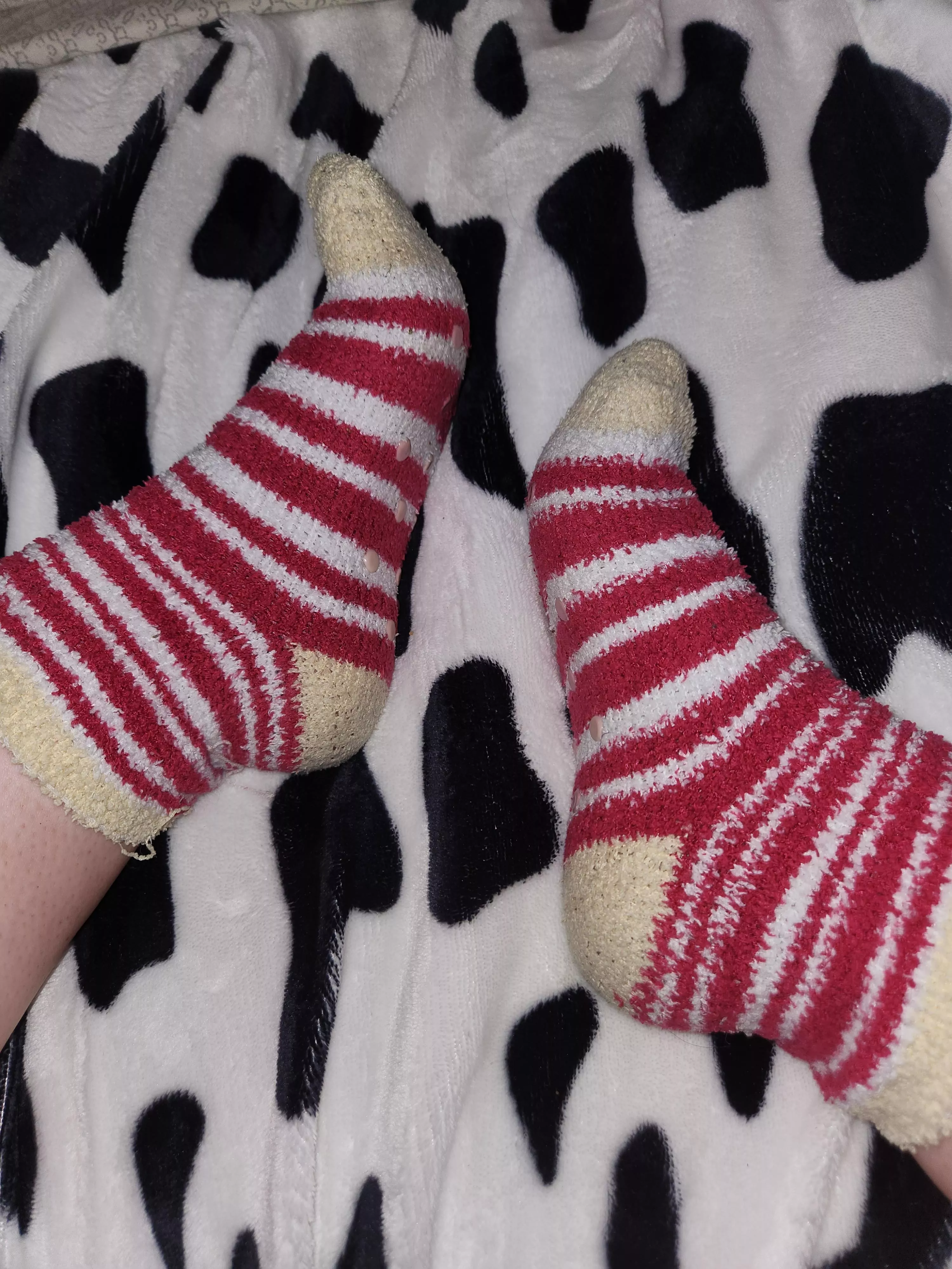 my fuzzy socks get so sweaty, bet you'd love them shoved in your face (f) posted by Joan_Iris